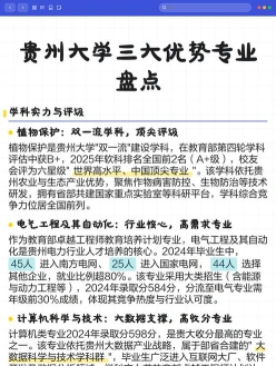 专业设置