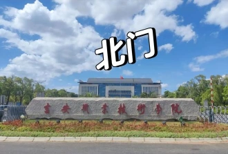专科层次