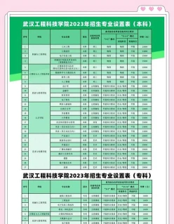 武汉工程科技学院