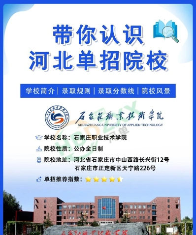 公办大学
