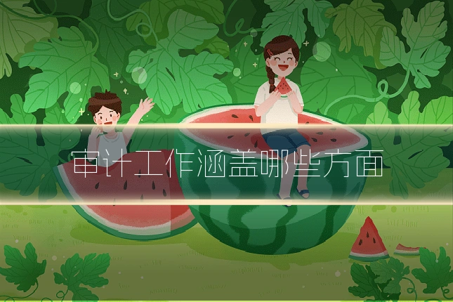审计工作涵盖哪些方面