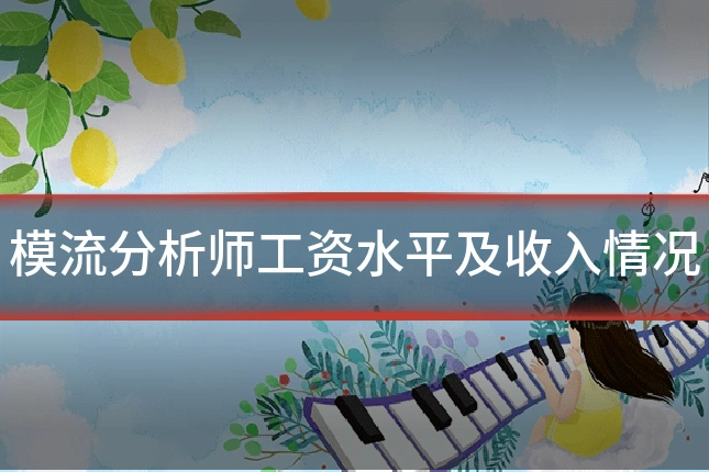 模流分析师工资水平及收入情况