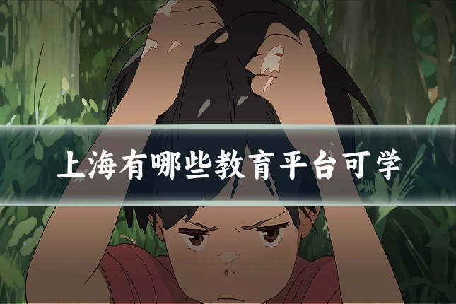 上海有哪些教育平台可学
