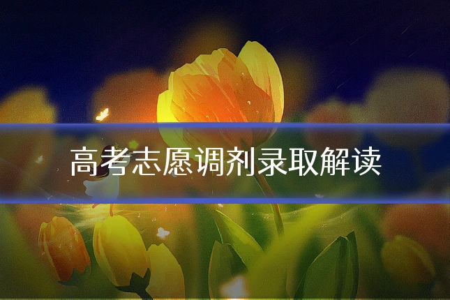 高考志愿调剂录取解读