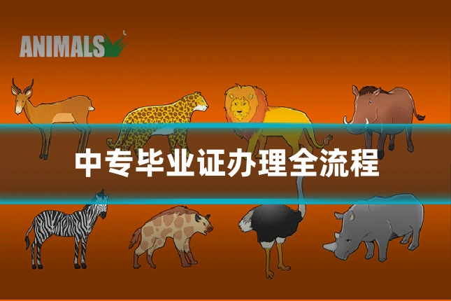 中专毕业证办理全流程