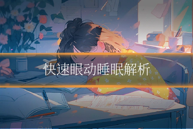快速眼动睡眠解析