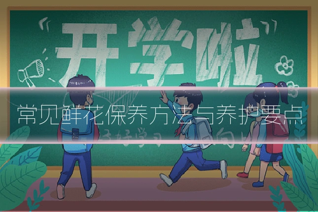 常见鲜花保养方法与养护要点
