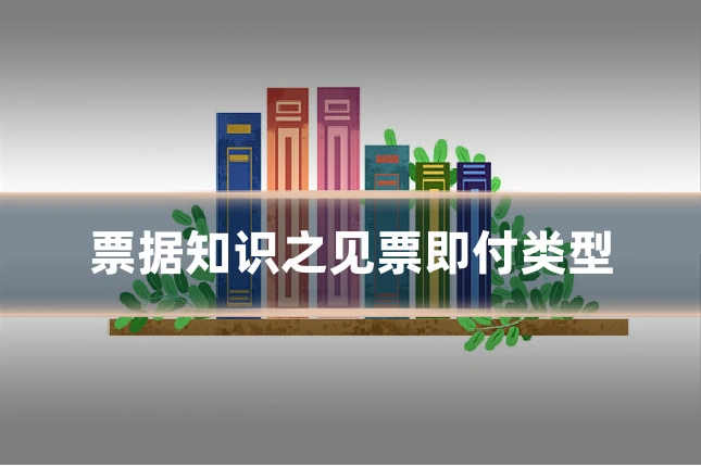 票据知识之见票即付类型