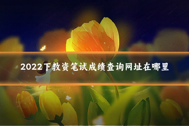 2022下教资笔试成绩查询网址在哪里