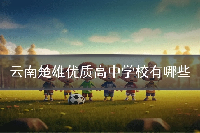 云南楚雄优质高中学校有哪些