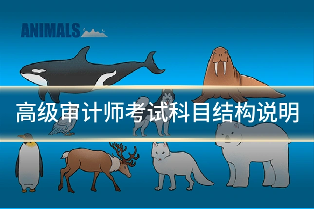 高级审计师考试科目结构说明