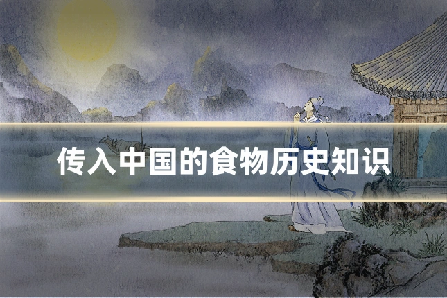 传入中国的食物历史知识