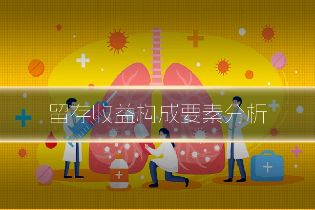 留存收益构成要素分析