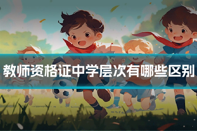 教师资格证中学层次有哪些区别