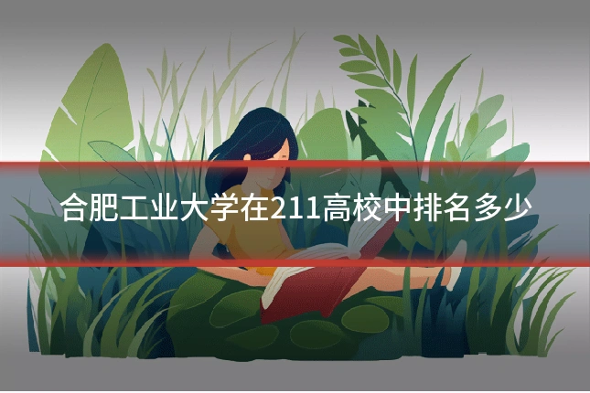 合肥工业大学在211高校中排名多少