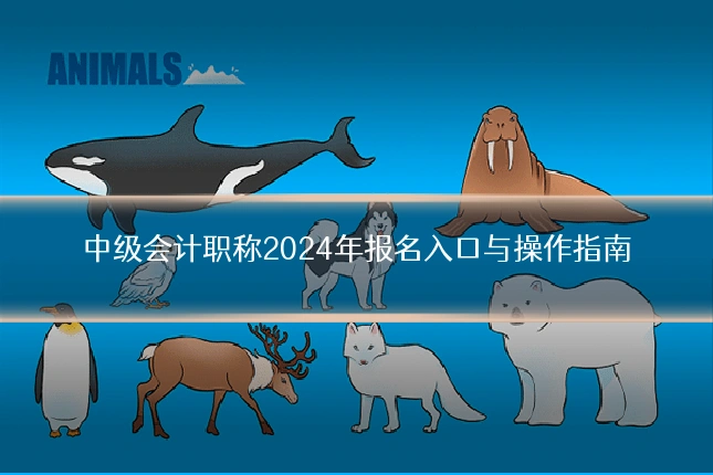 中级会计职称2024年报名入口与操作指南