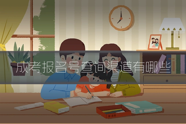 成考报名号查询渠道有哪些