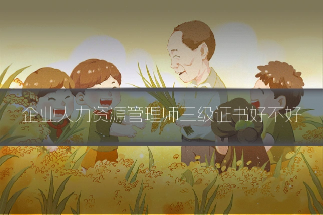 企业人力资源管理师三级证书好不好