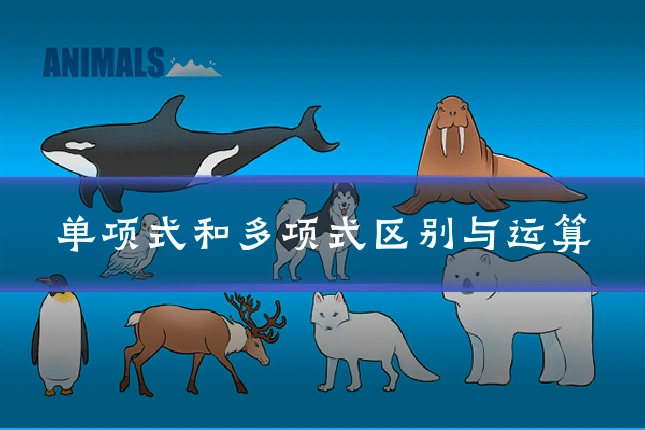 单项式和多项式区别与运算
