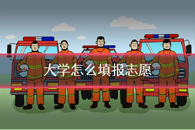 大学怎么填报志愿