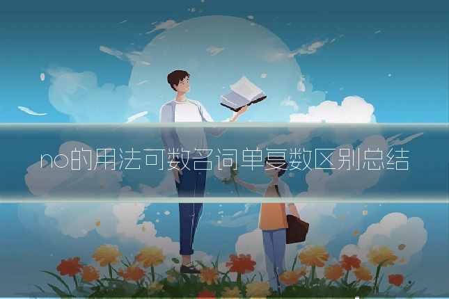no的用法可数名词单复数区别总结