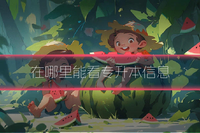 在哪里能看专升本信息