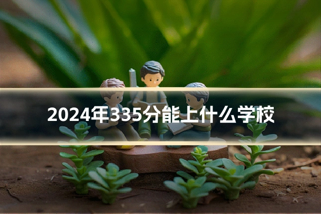 2024年335分能上什么学校
