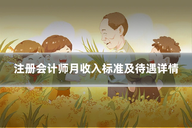 注册会计师月收入标准及待遇详情
