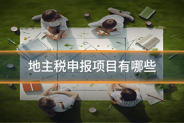 地主税申报项目有哪些