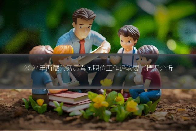 2024年西藏公务员考试职位工作经验要求情况分析