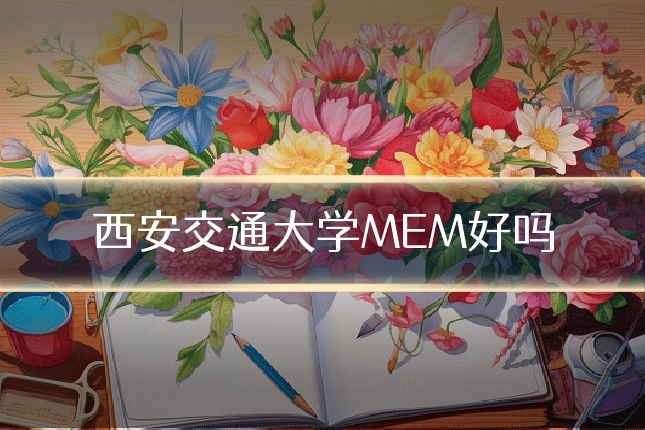 西安交通大学MEM好吗