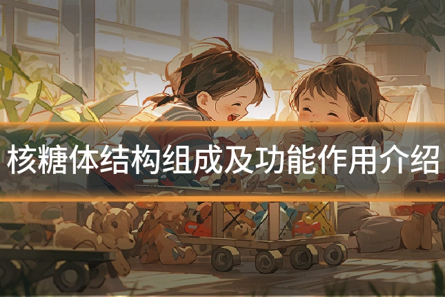 核糖体结构组成及功能作用介绍