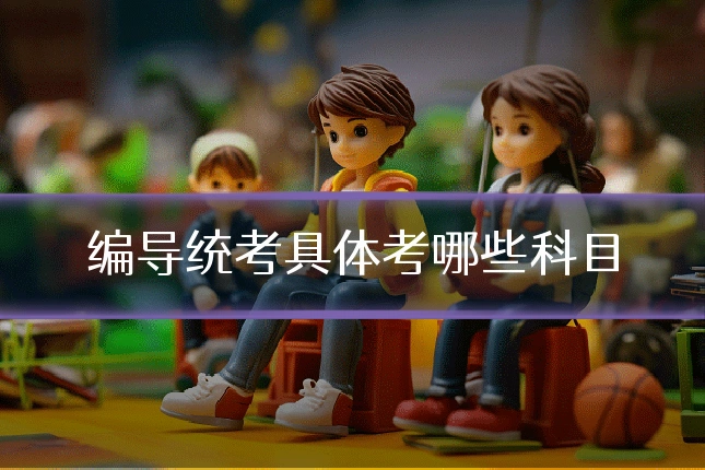 编导统考具体考哪些科目