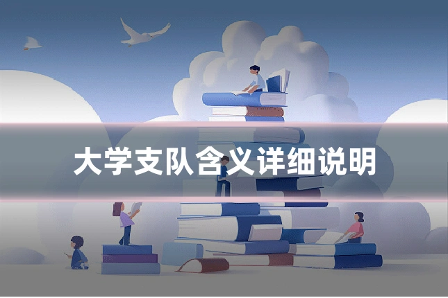 大学支队含义详细说明