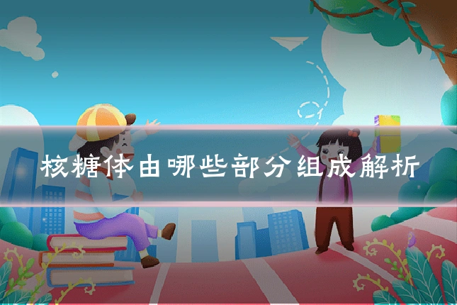 核糖体由哪些部分组成解析