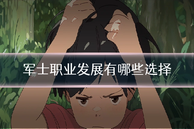 军士职业发展有哪些选择
