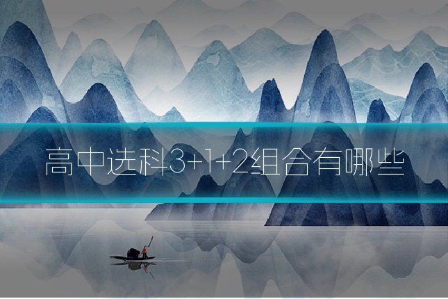 高中选科3+1+2组合有哪些