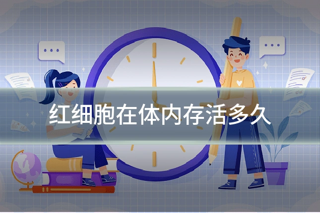 红细胞在体内存活多久