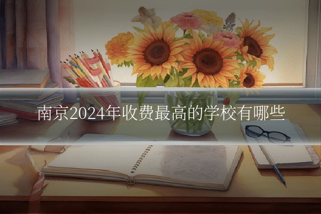 南京2024年收费最高的学校有哪些