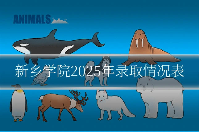 新乡学院2025年录取情况表