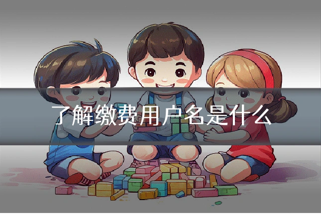 了解缴费用户名是什么