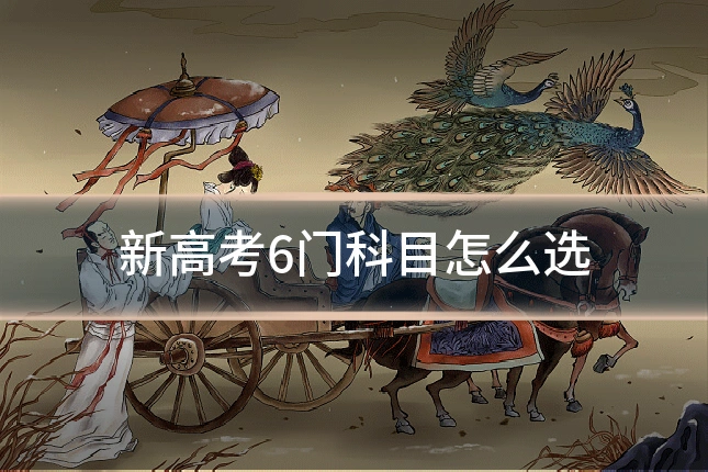 新高考6门科目怎么选
