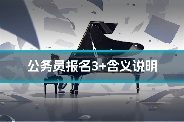 公务员报名3+含义说明