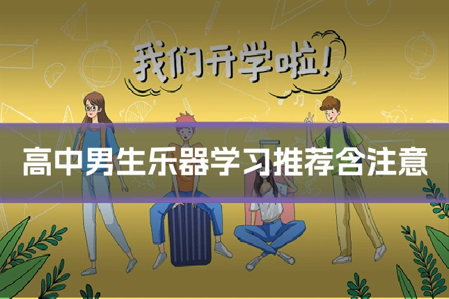 高中男生乐器学习推荐含注意