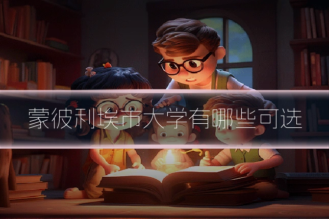 蒙彼利埃市大学有哪些可选