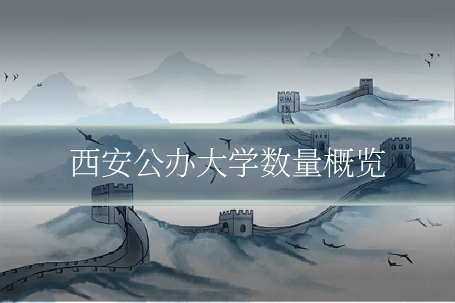 西安公办大学数量概览