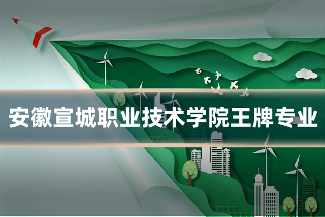 安徽宣城职业技术学院王牌专业