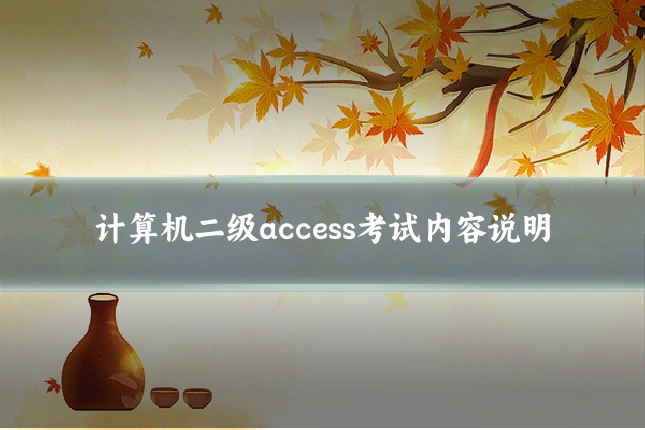 计算机二级access考试内容说明
