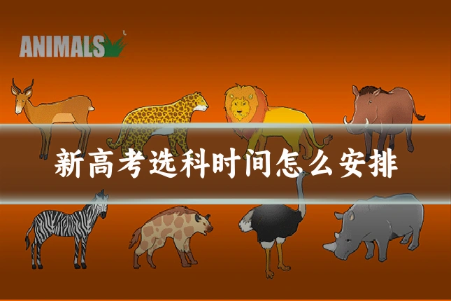 新高考选科时间怎么安排