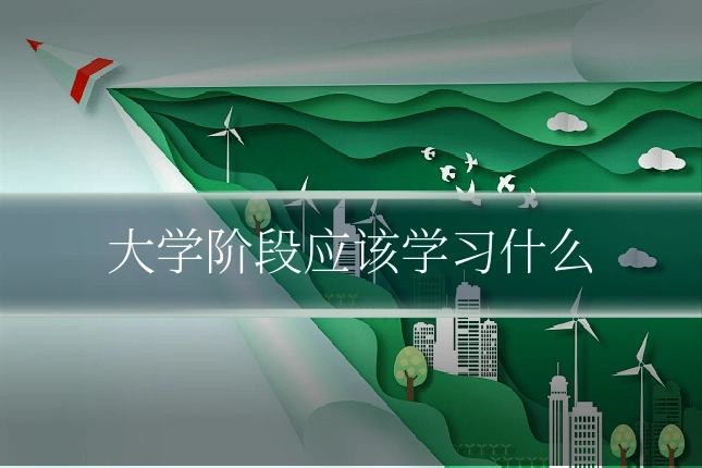 大学阶段应该学习什么